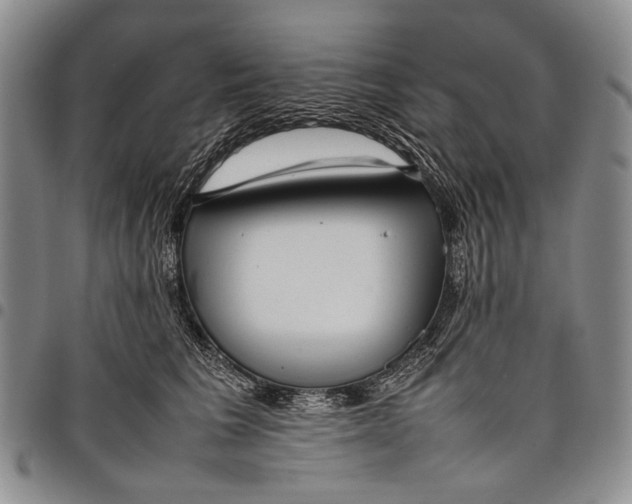 X0000097960613200804141029