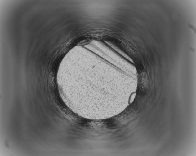 X0000097960615200804141029