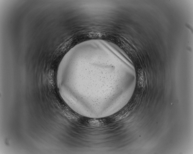 X0000097960616200804141029