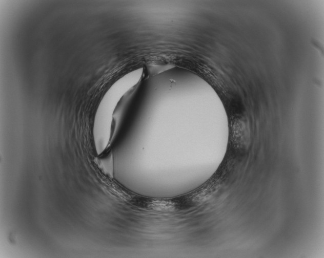 X0000097960617200804141029
