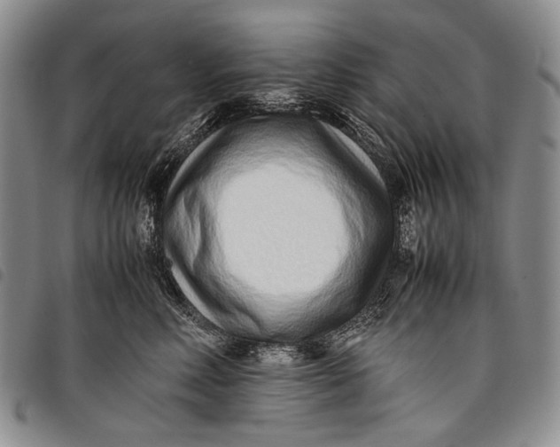 X0000097960618200804141029