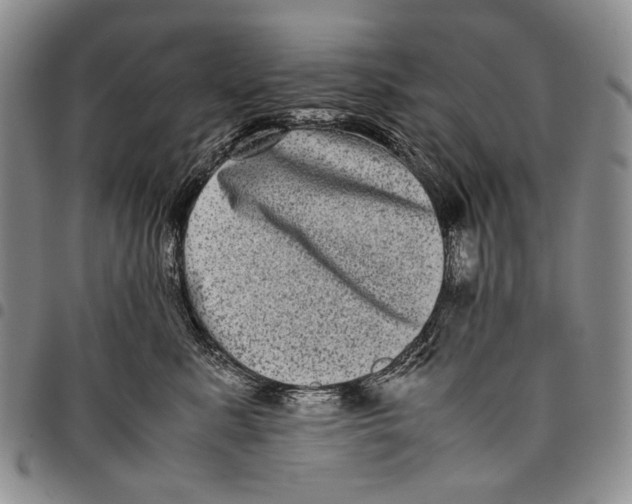 X0000097960619200804141029
