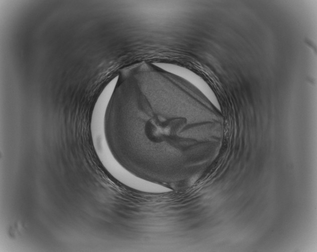 X0000097960621200804141029