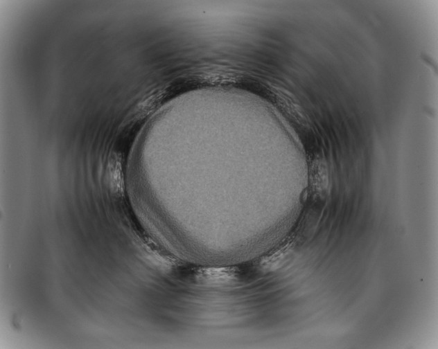 X0000097960622200804141029