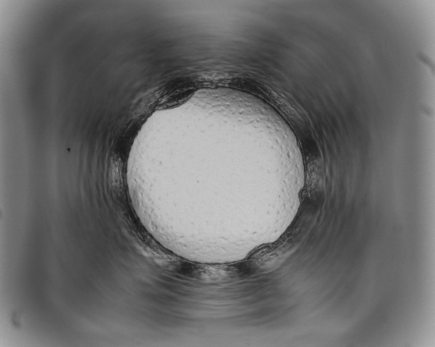 X0000097960623200804141028