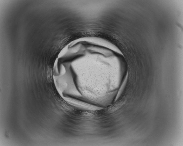 X0000097960624200804141028
