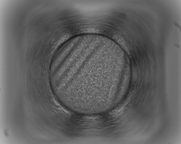X0000097960625200804141028