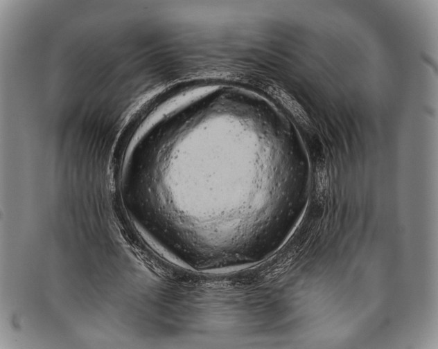 X0000097960628200804141028