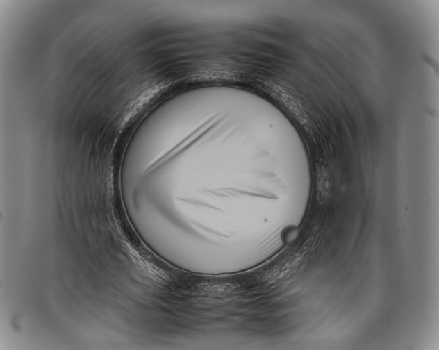 X0000097960629200804141028