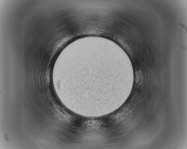 X0000097960632200804141028