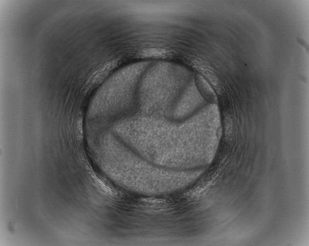 X0000097960633200804141028