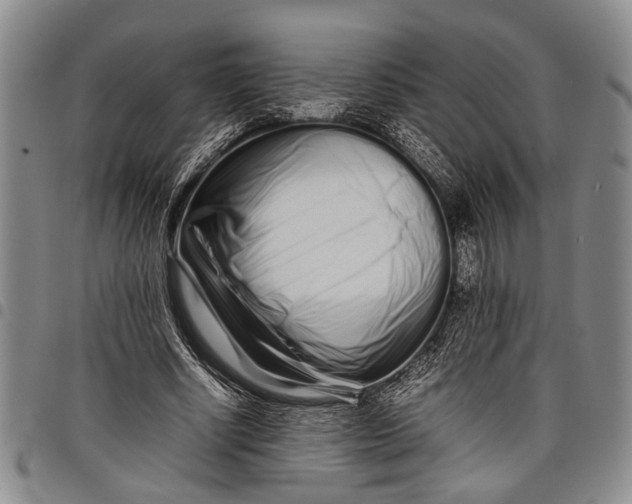 X0000097960634200804141028