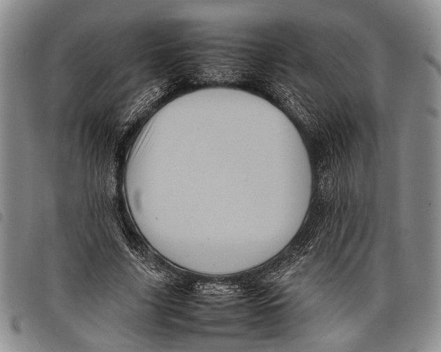 X0000097960635200804141028