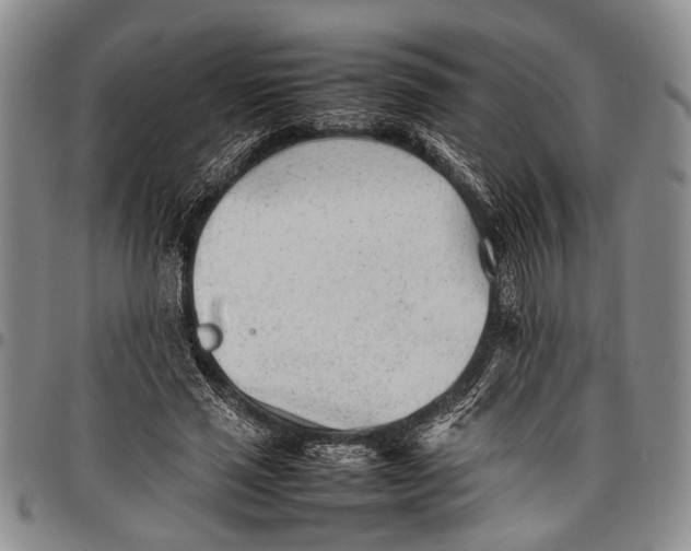 X0000097960637200804141028