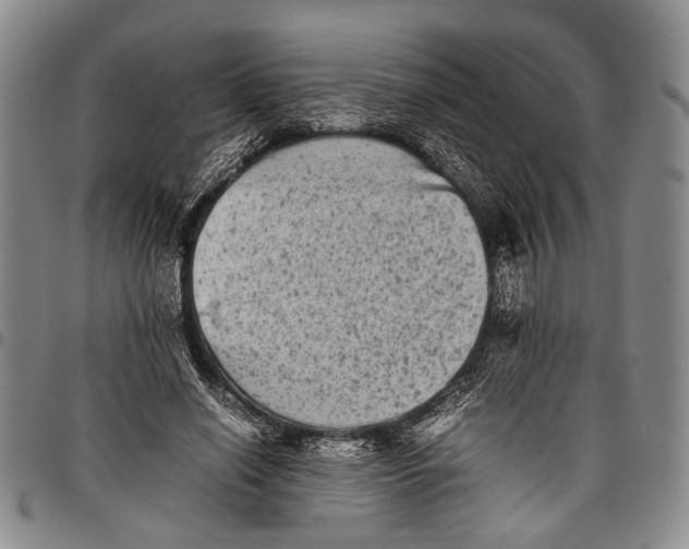 X0000097960638200804141028
