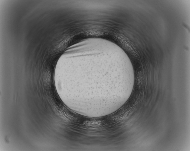 X0000097960639200804141028