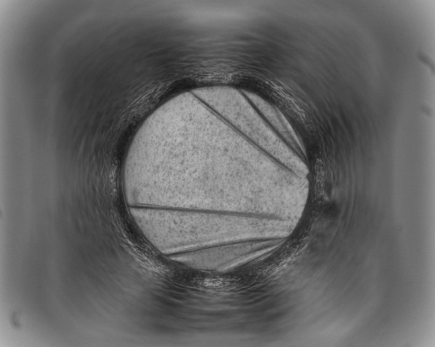 X0000097960641200804141028