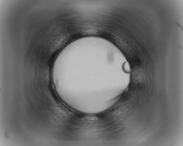 X0000097960642200804141028