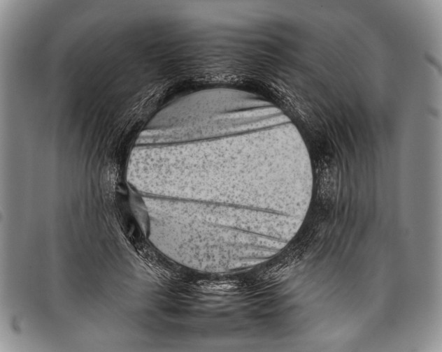 X0000097960643200804141028