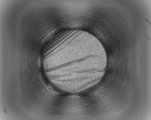 X0000097960644200804141028