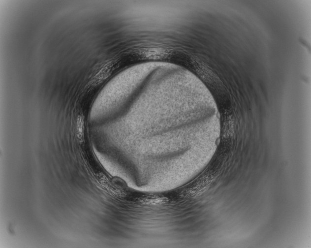 X0000097960646200804141028