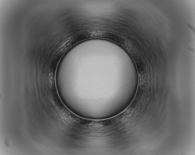 X0000097960648200804141028