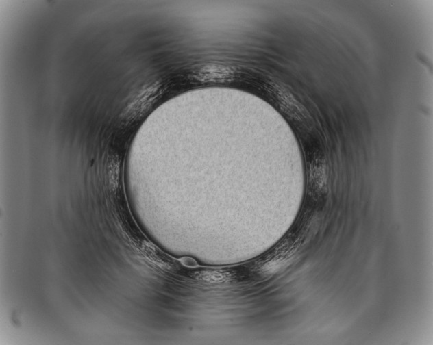 X0000097960652200804141028