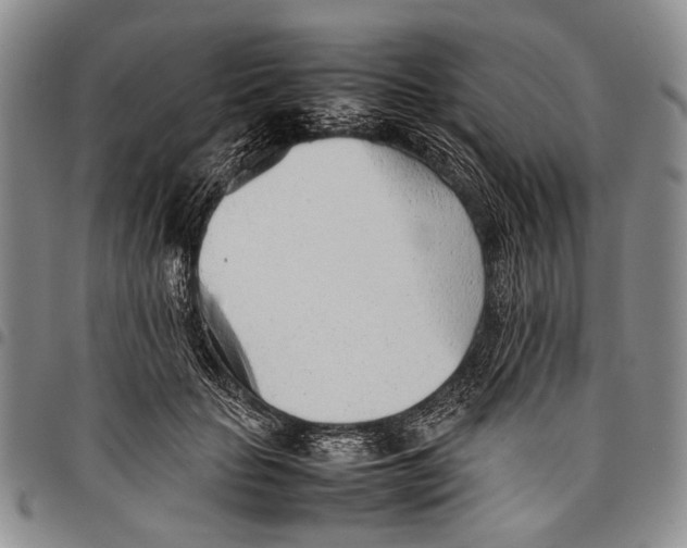 X0000097960653200804141028