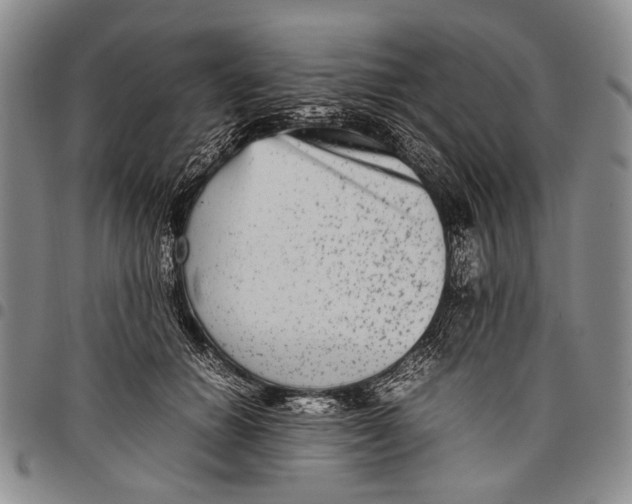 X0000097960654200804141028
