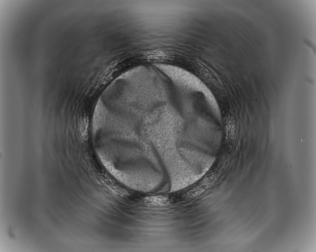 X0000097960660200804141028