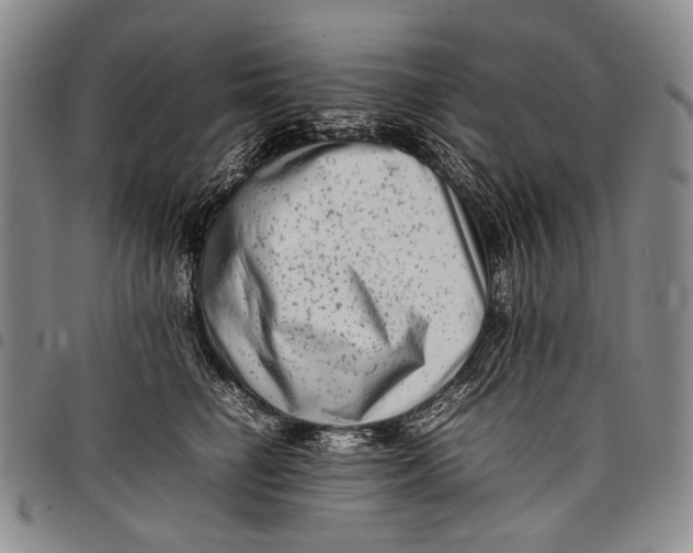 X0000097960662200804141028