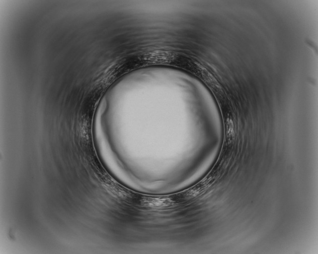 X0000097960663200804141028