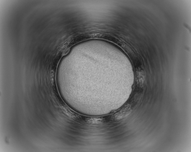 X0000097960664200804141028