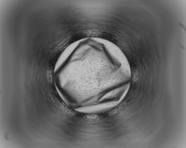 X0000097960666200804141028