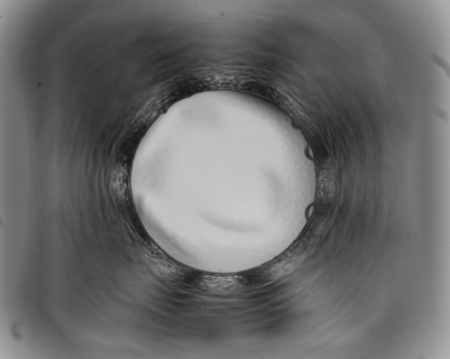 X0000097960671200804141028