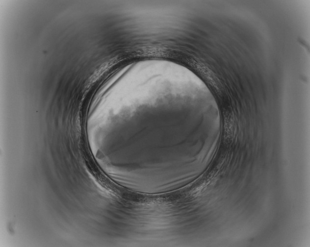 X0000097960674200804141028