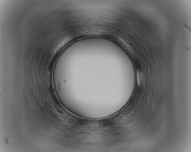 X0000097960675200804141028