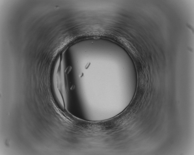 X0000097960677200804141028