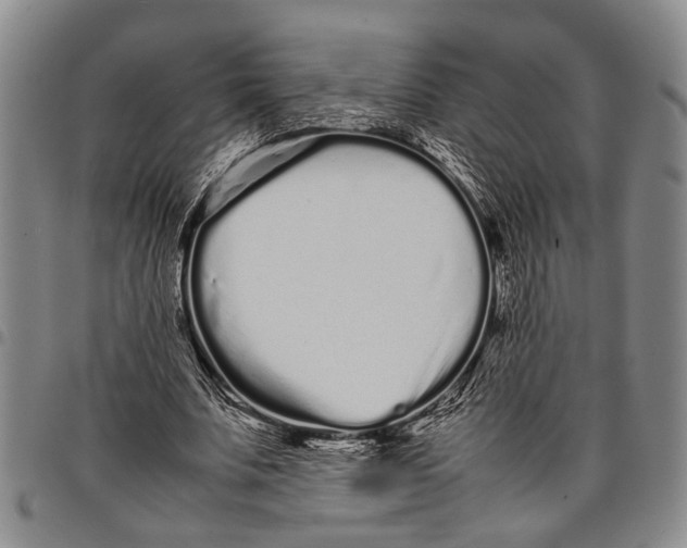X0000097960679200804141028