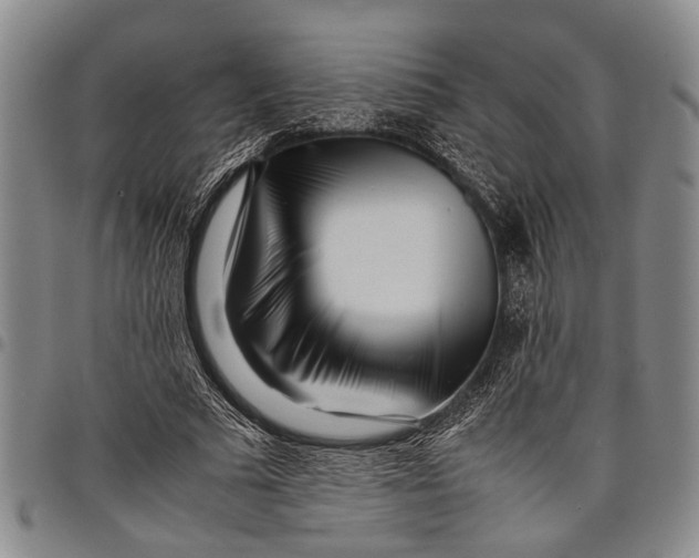 X0000097960681200804141028