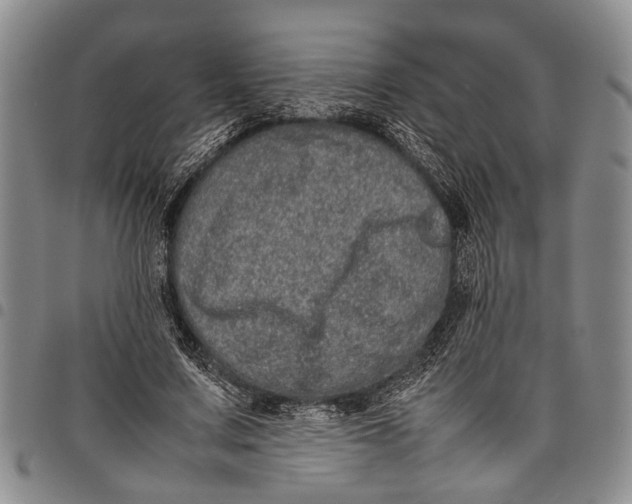 X0000097960683200804141027