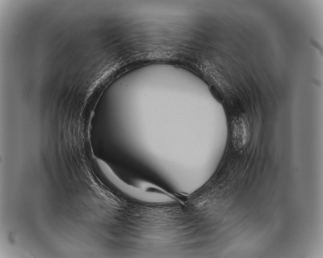 X0000097960684200804141027