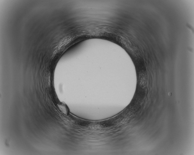 X0000097960685200804141027
