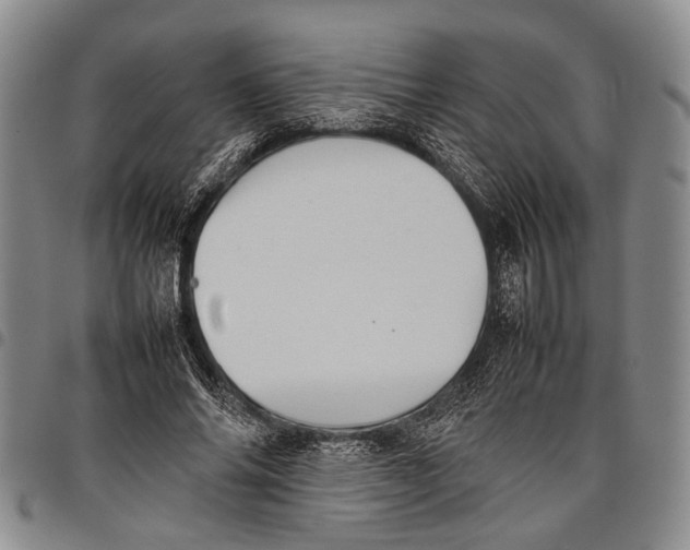 X0000097960686200804141027