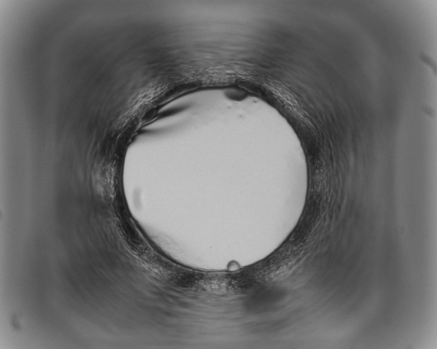 X0000097960687200804141027
