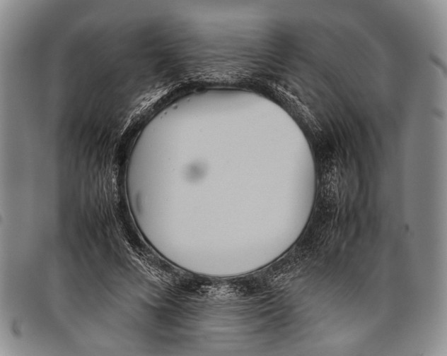 X0000097960688200804141027