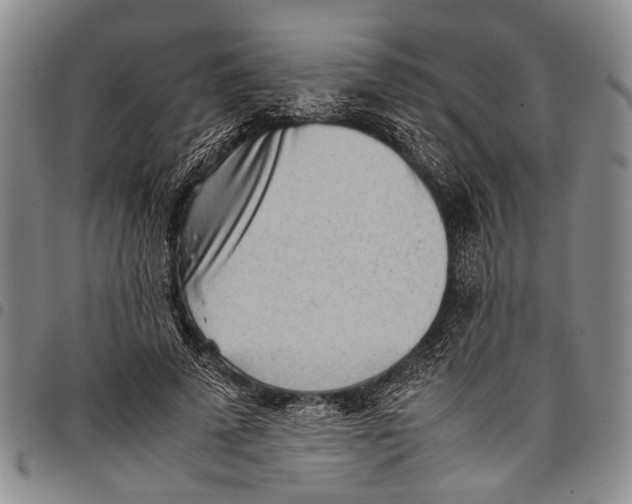 X0000097960689200804141027