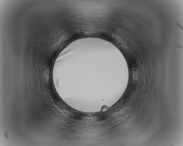X0000097960691200804141027