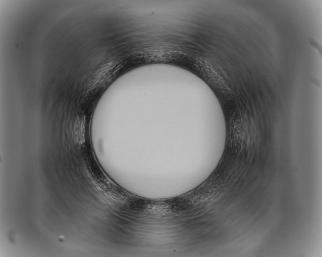 X0000097960694200804141027