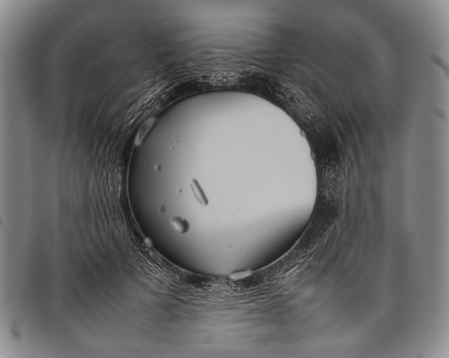 X0000097960697200804141027